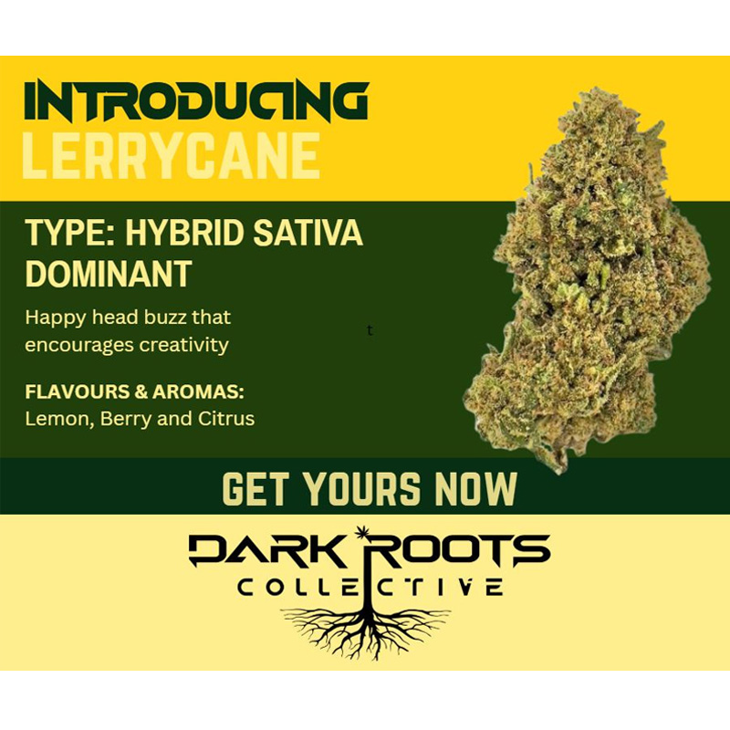 Lerrycane.jpg