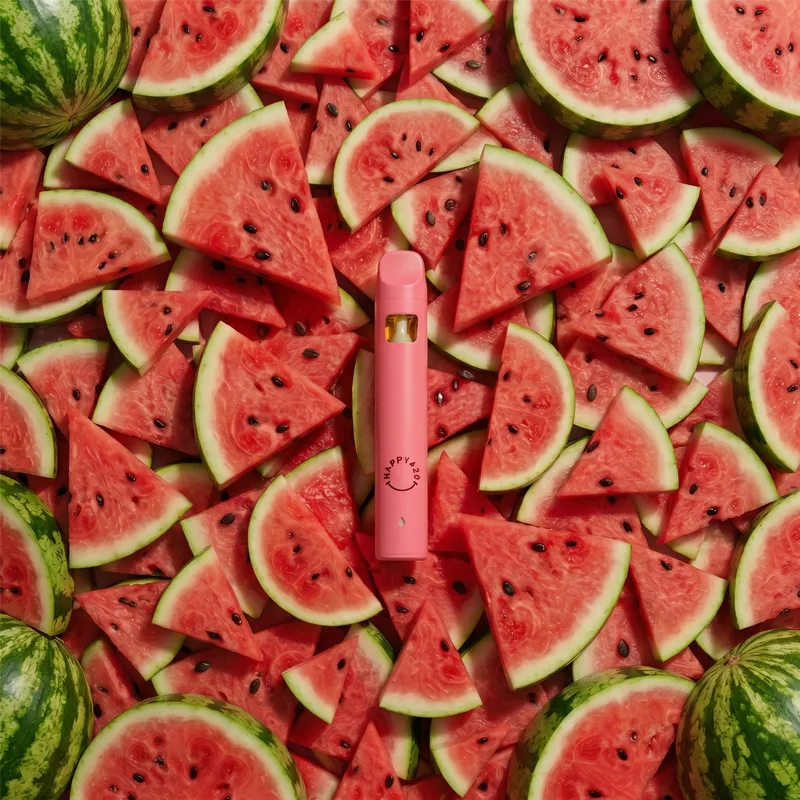 Watermelon b.webp