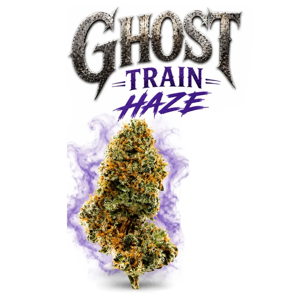 Premium Indoor Flower 1g - Ghost Train Haze (Sativa)